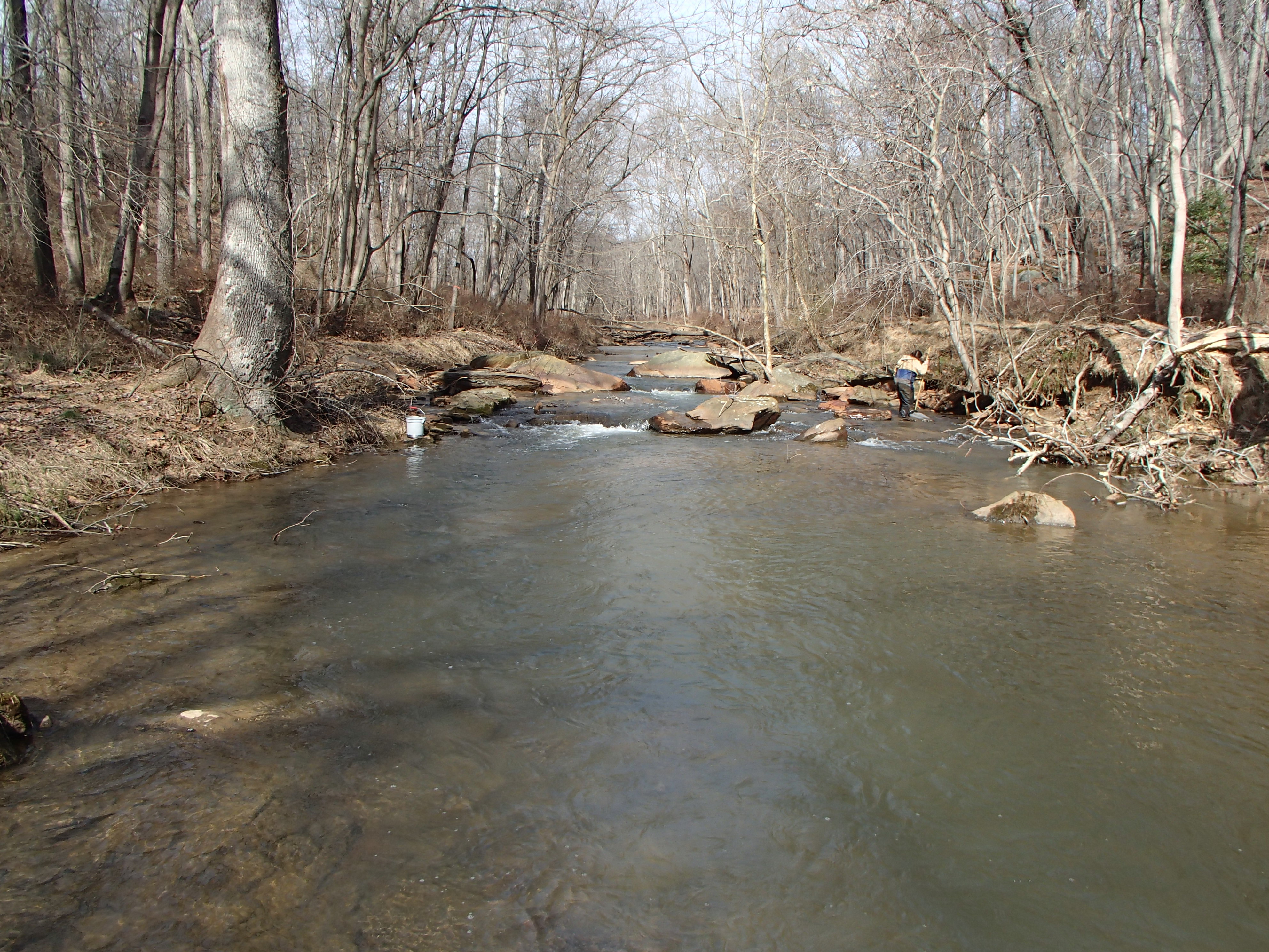 Field photo showing stream conditions at site SBPA-206-X-2016_midpoint looking upstream